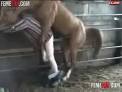 Gay bends over in the barn and gets anal fucked by a horse
